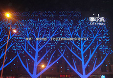 内蒙呼和浩特维多利亚摩尔城冰场橡胶地板工程